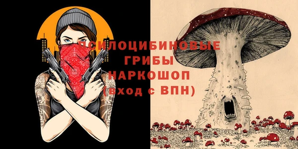 дживик Алексеевка