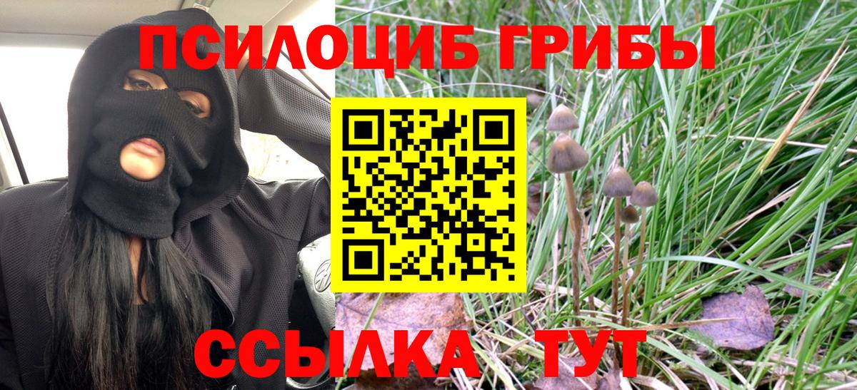 Тайшет  Псилоцибиновые грибы Magic Shrooms  Вход с VPN 