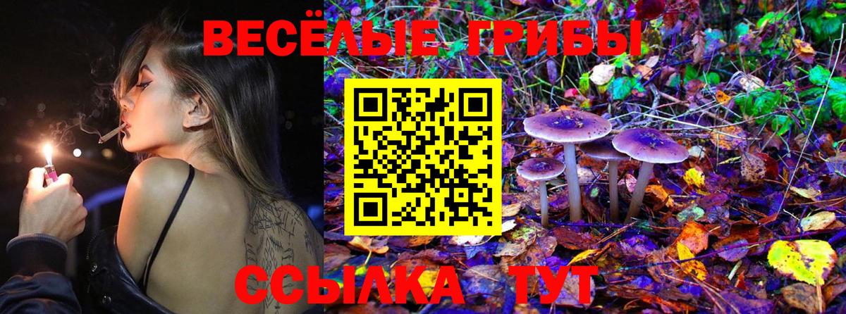 Мефедрон кристаллы  Кокаин  Вход с VPN  ГАШИШ  LSD-25  Бошки Шишки  Тайшет  Героин 