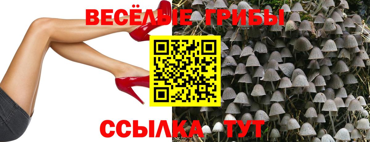 Галлюциногенные грибы Magic Shrooms Тайшет